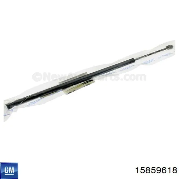 15859618 General Motors 
