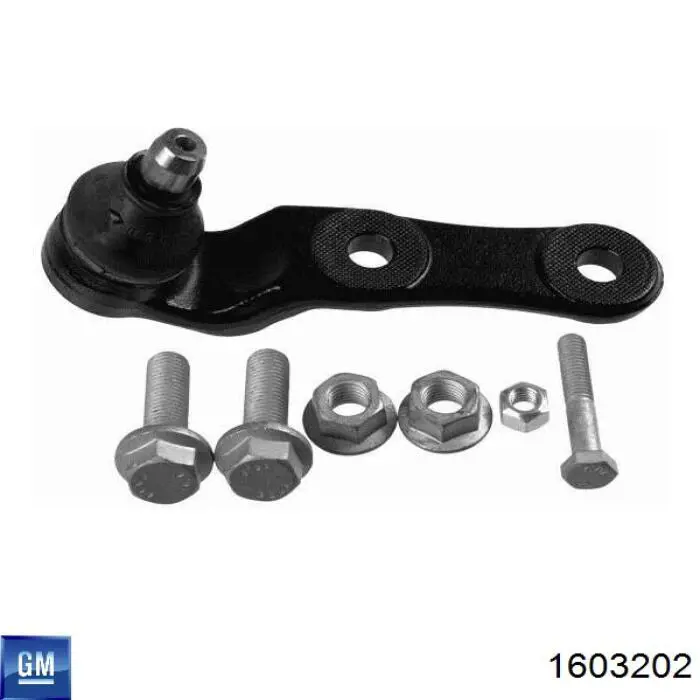 Шаровая опора, нижняя General Motors 1603202 цена, от 12.03 USD