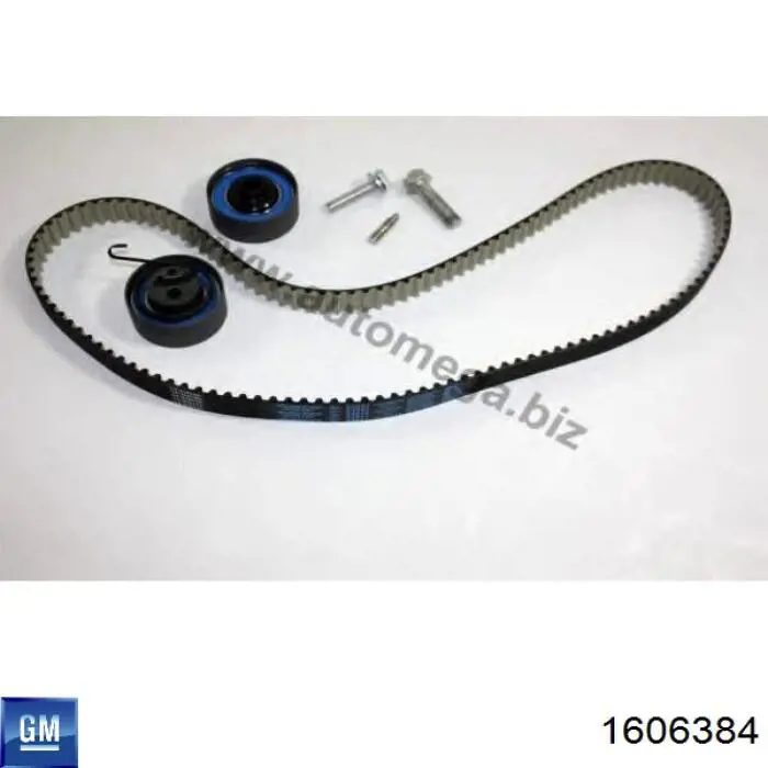 Комплект ГРМ 1606384 General Motors