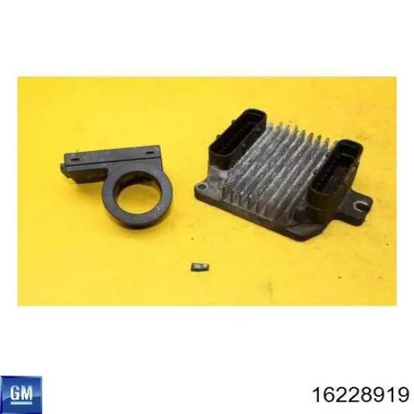16228919 General Motors Мозги двигателя