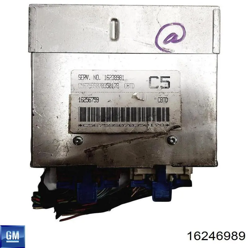  16246989 General Motors