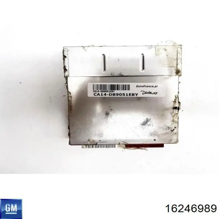  General Motors 16246989