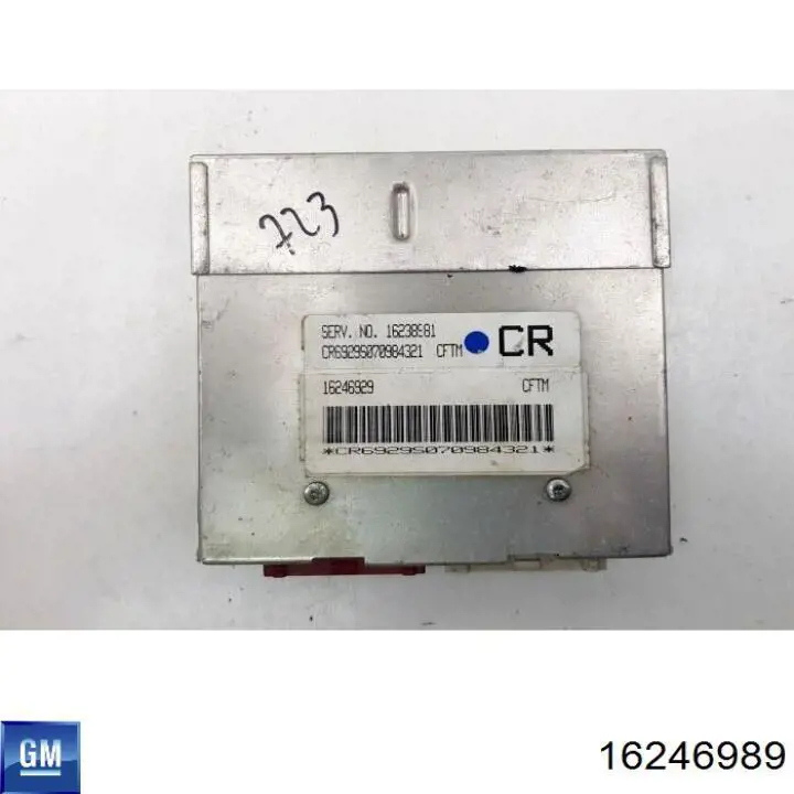 16246989 General Motors 
