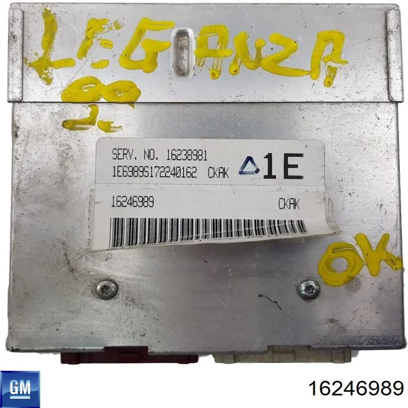 16246989 General Motors 
