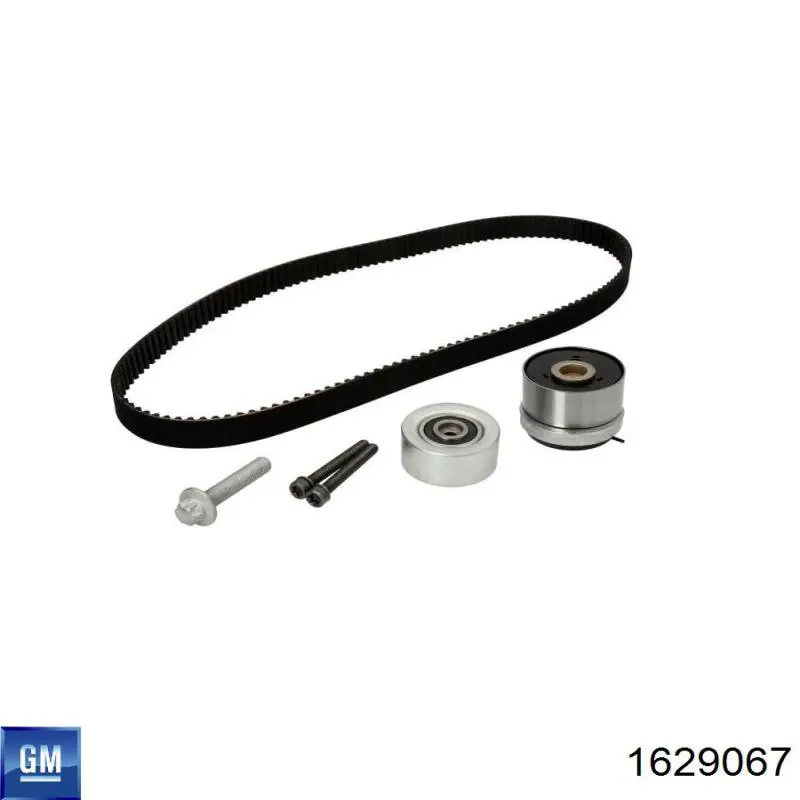 1629067 General Motors Комплект ремня ГРМ