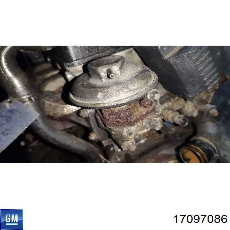 Клапан ЕГР 17097086 General Motors