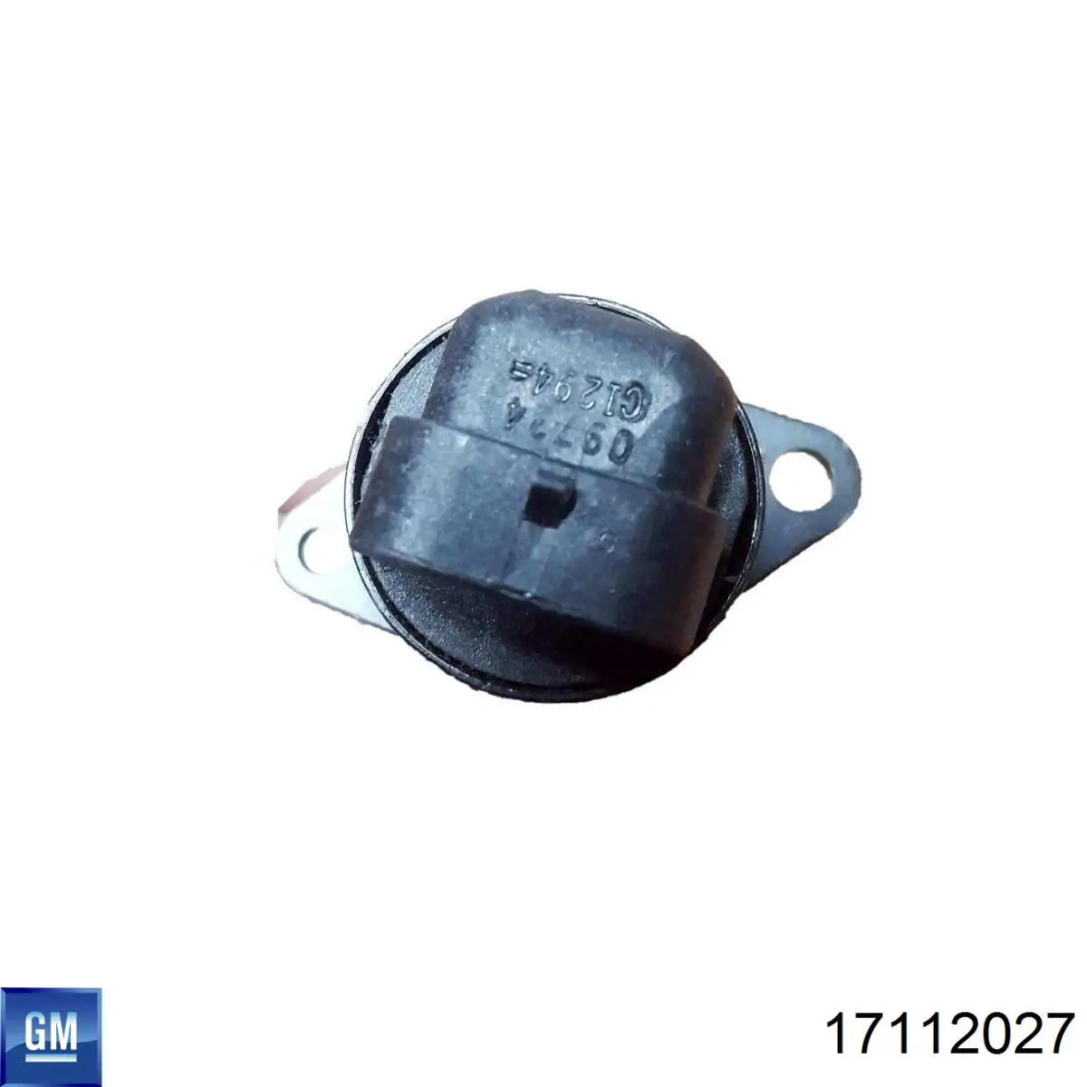 РХХ General Motors 17112027