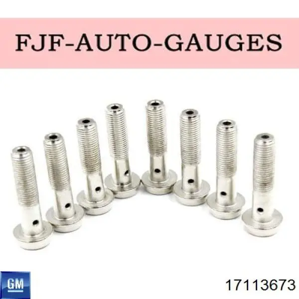 17113673 General Motors Мозги двигателя