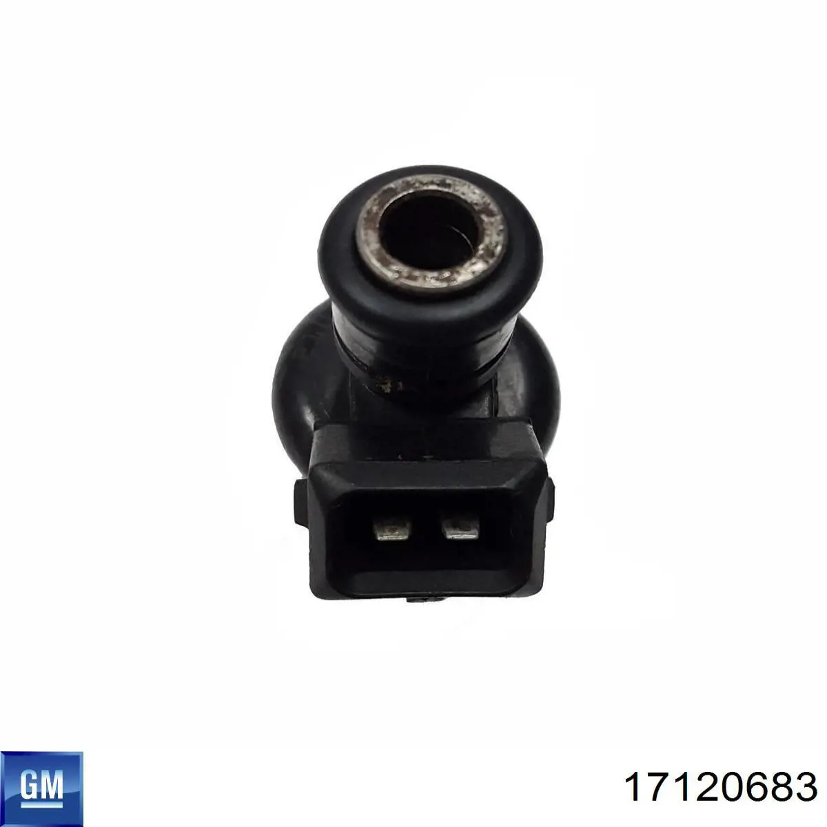 Топливные форсунки 25171743 General Motors