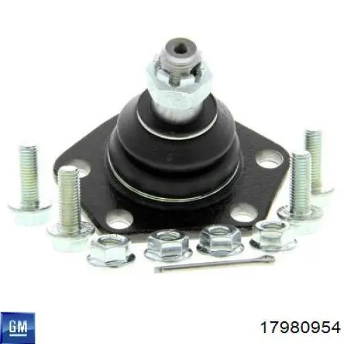 Шаровая опора, нижняя General Motors 17980954 цена, от 15.72 USD