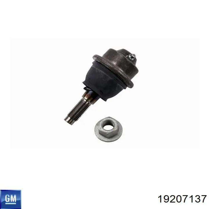 Шаровая опора, нижняя General Motors 19207137 цена, от 20.99 USD