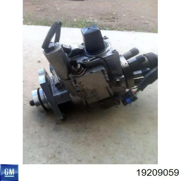 IP1 Standard 