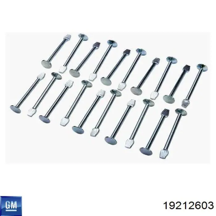 Барабанные колодки General Motors 19256491