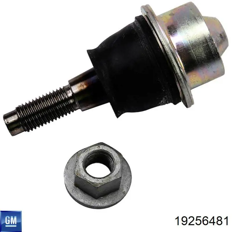 Шаровая опора, нижняя General Motors 19256481 цена, от 68.77 USD
