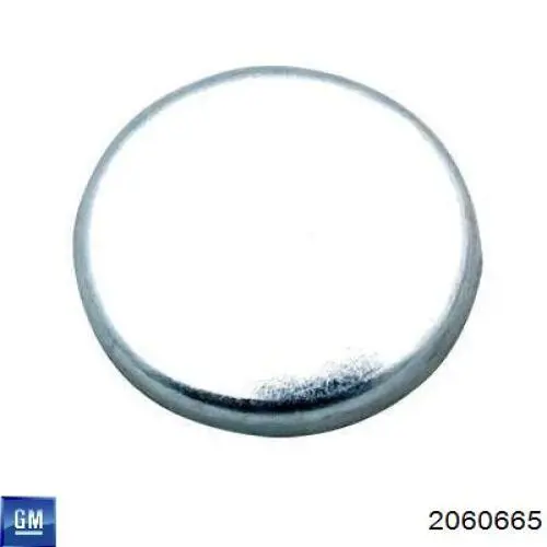 Купить 96180730 KAP Заглушка ГБЦ