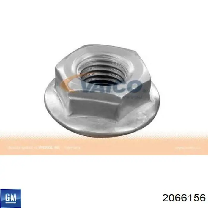 2066156 General Motors porca de fixação de tubo de admissão do silenciador (de calças)