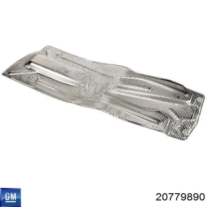 20779890 General Motors 