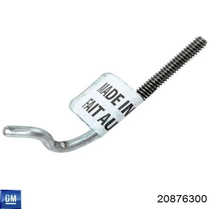 20876300 General Motors 