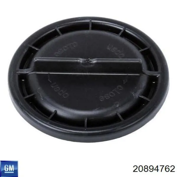 20894762 General Motors 
