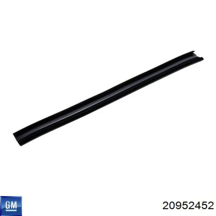 20952452 General Motors 