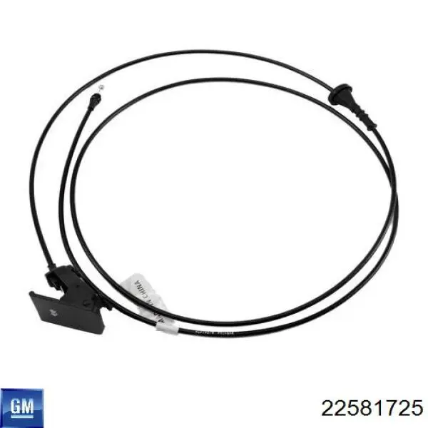 22581725 General Motors 