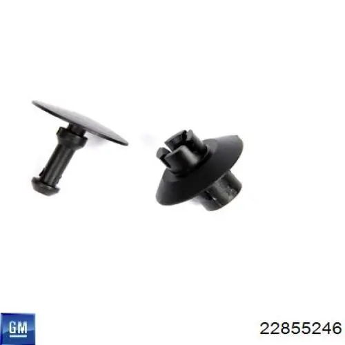 General Motors 22855246 цена, от 24.72 USD