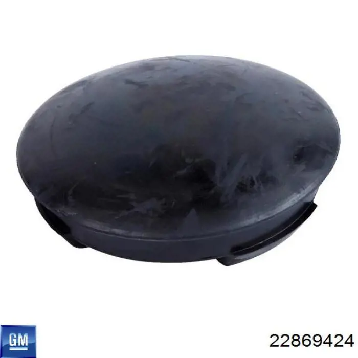 22869424 General Motors 