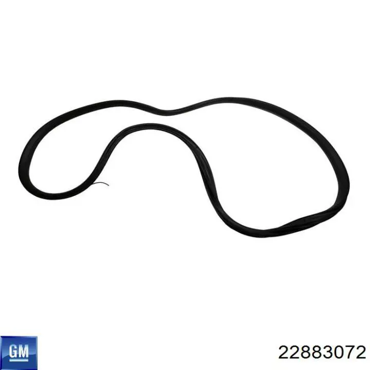 22883072 General Motors 