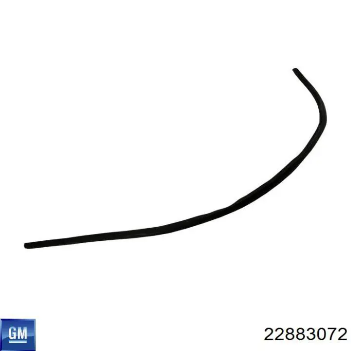 Купить 22883072 General Motors 