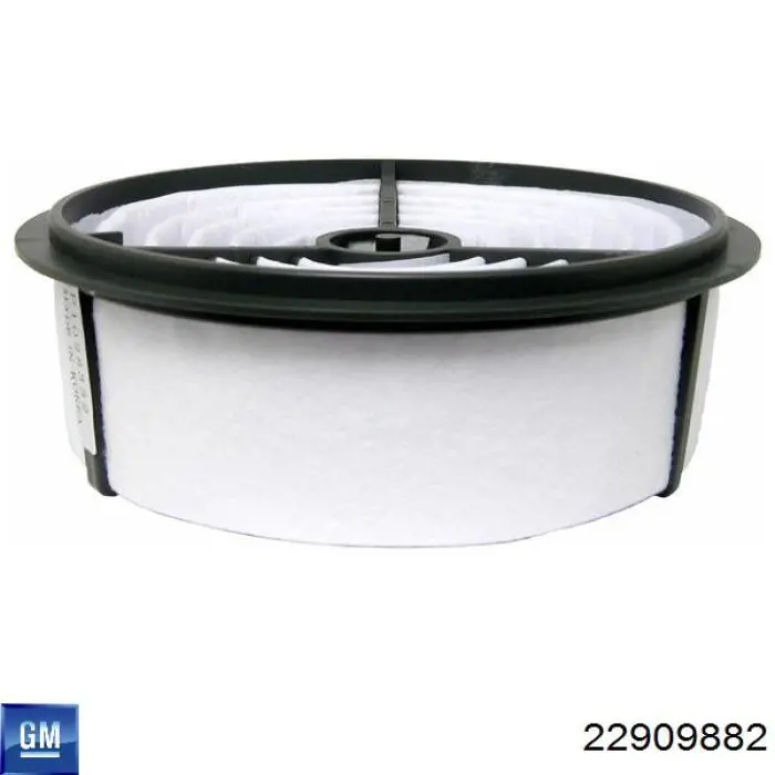 Фильтр воздушный General Motors 22909882
