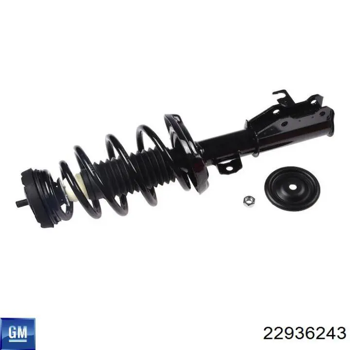  General Motors 22936243