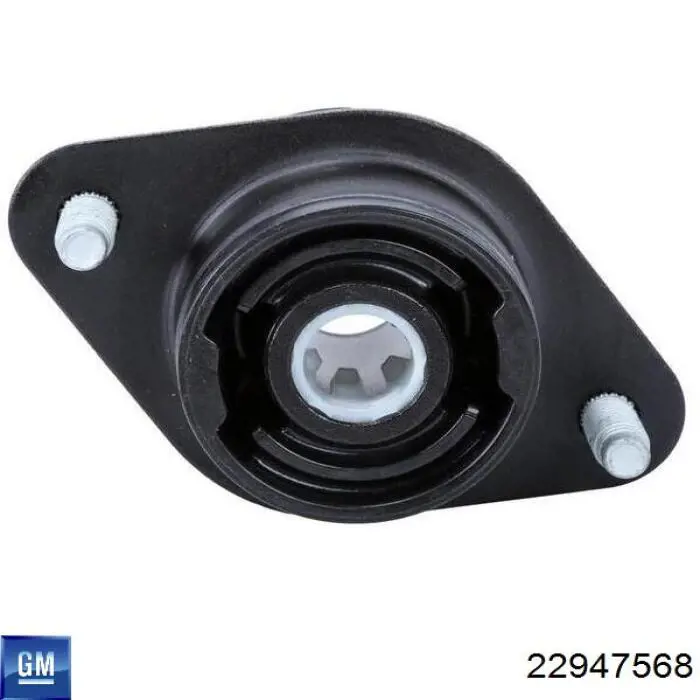  General Motors 22947568
