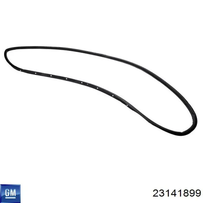 23141899 General Motors 