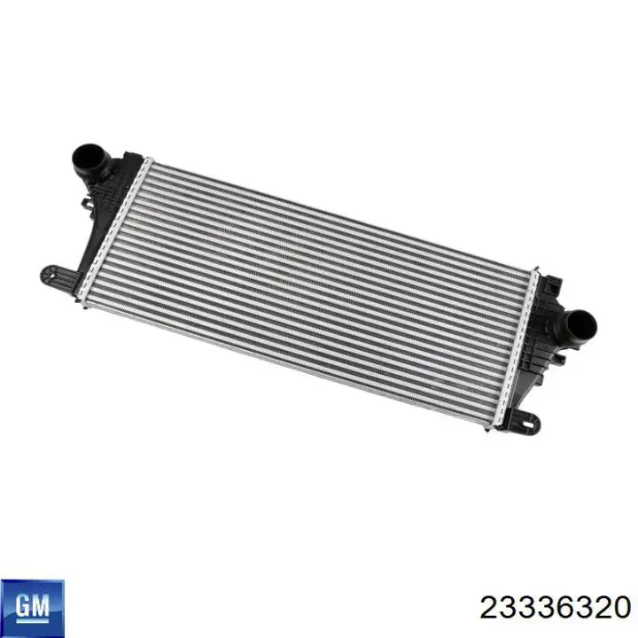 23336320 General Motors 