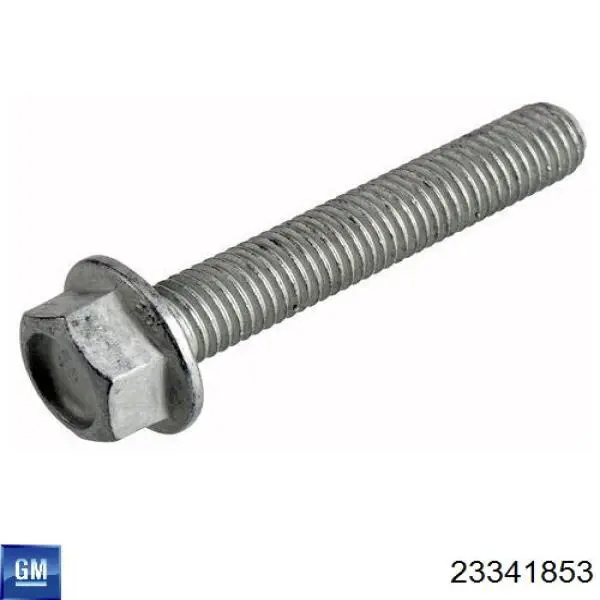 23341853 General Motors 