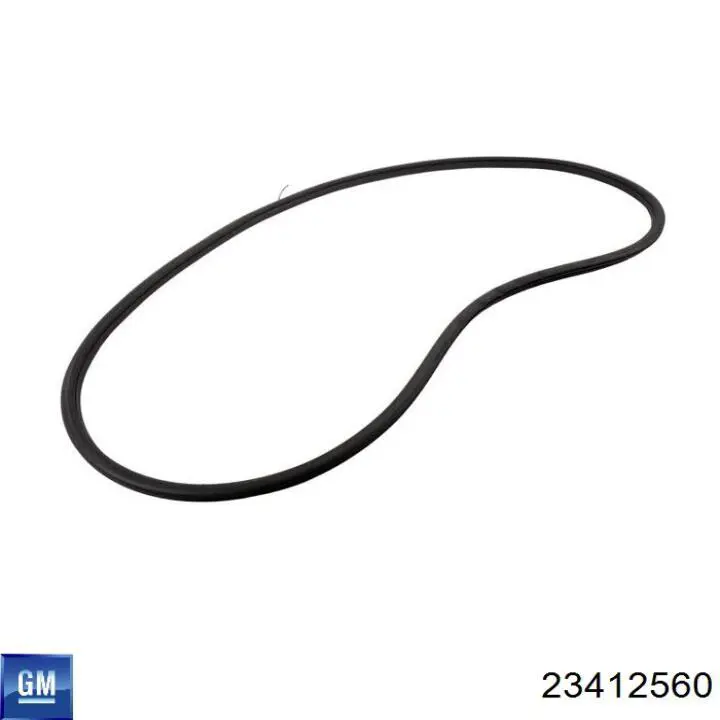 23412560 General Motors 