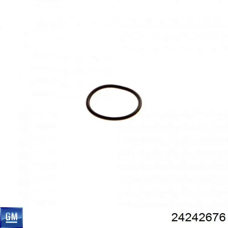 24242676 General Motors