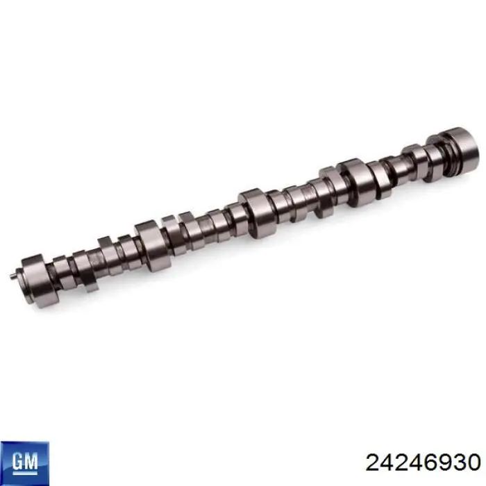 24246930 General Motors 