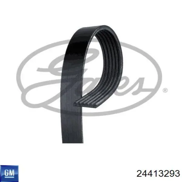 24413293 General Motors Поликлиновый ремень