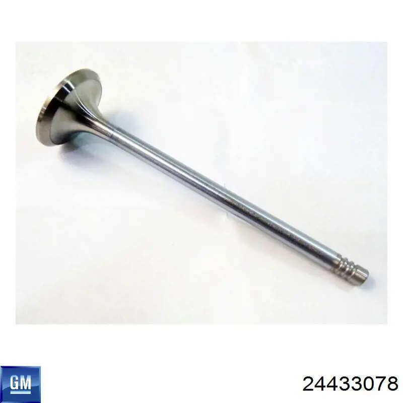 Впускной клапан R6366 Freccia
