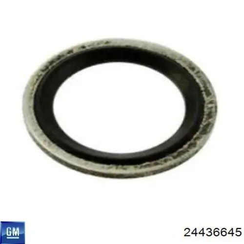 24436645 General Motors Кольцо уплотнительное шланга компрессора обратного