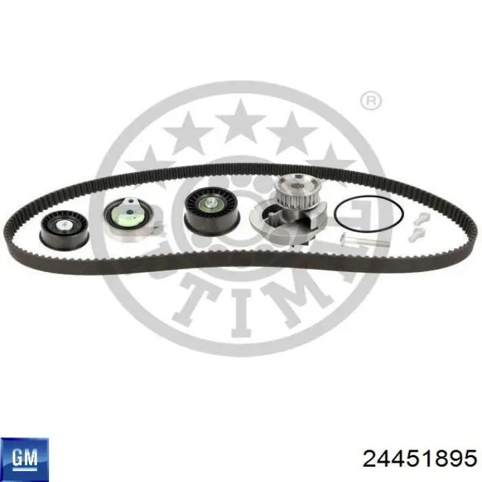 Купить 24451895 General Motors Ремень газораспределительного механизма