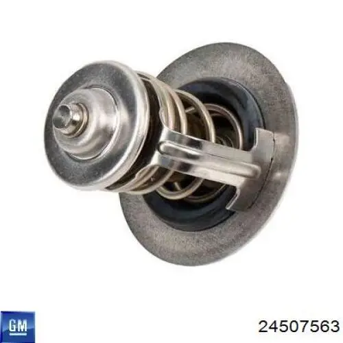 267195 Motorad Авто термостат