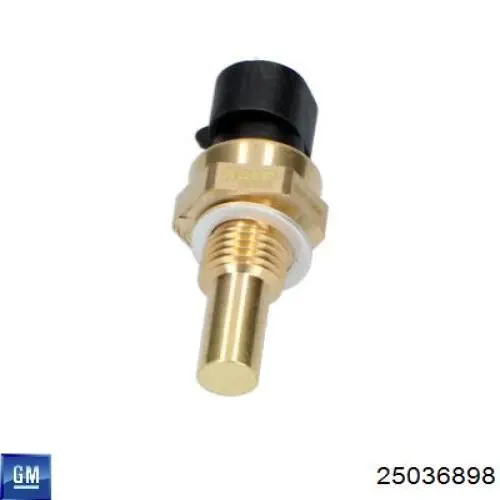 Датчик температуры жидкости General Motors 25036898