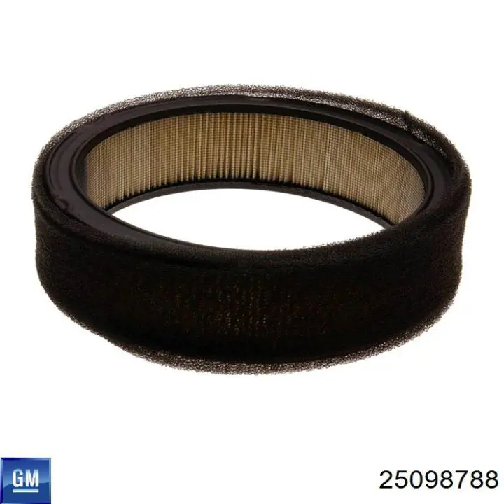 Элемент воздушного фильтра General Motors 25098788 цена, от 338.41 USD