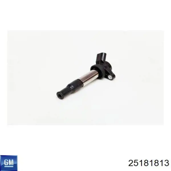 25181813 GM/Chevrolet