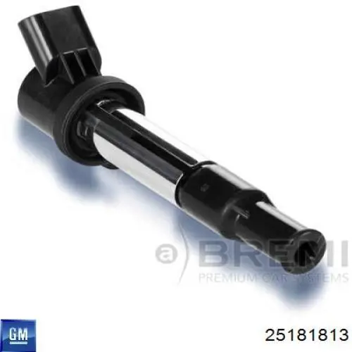 25181813 GM/Chevrolet