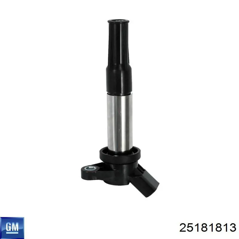 25181813 GM/Chevrolet