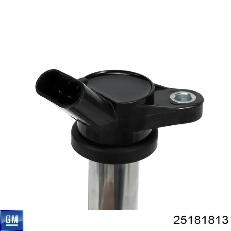 25181813 GM/Chevrolet