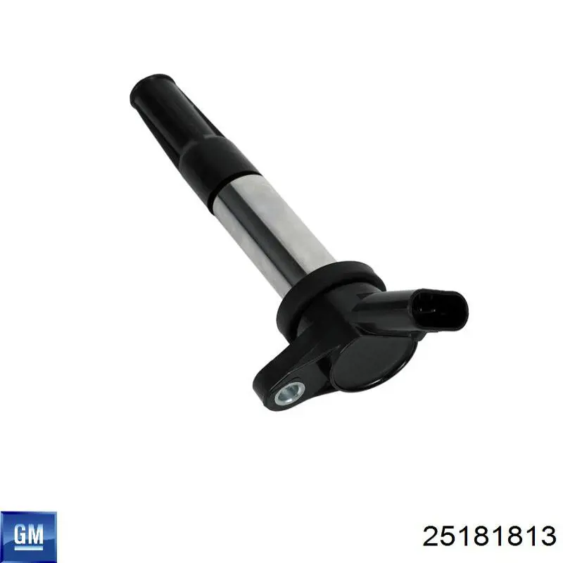 25181813 GM/Chevrolet